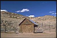 Shed_Cortez_colo.jpg