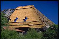 Roof_Thatch_Kazangula.jpg