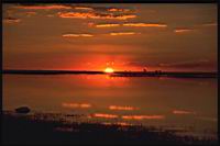 Sunst_River_Chobe.jpg