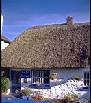 Irish_cottage-1.jpg