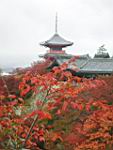 Kyoto_temple-25.JPG