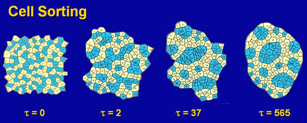 Sorting Simulation