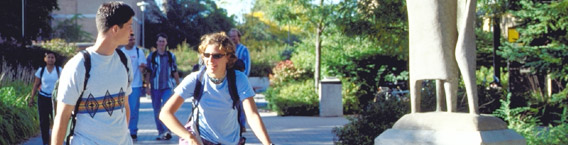 banner image