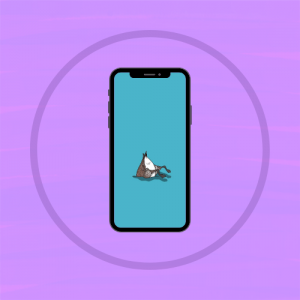 Desktop/Phone Wallpapers